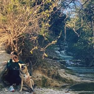 Meet your Posher, Netsirk